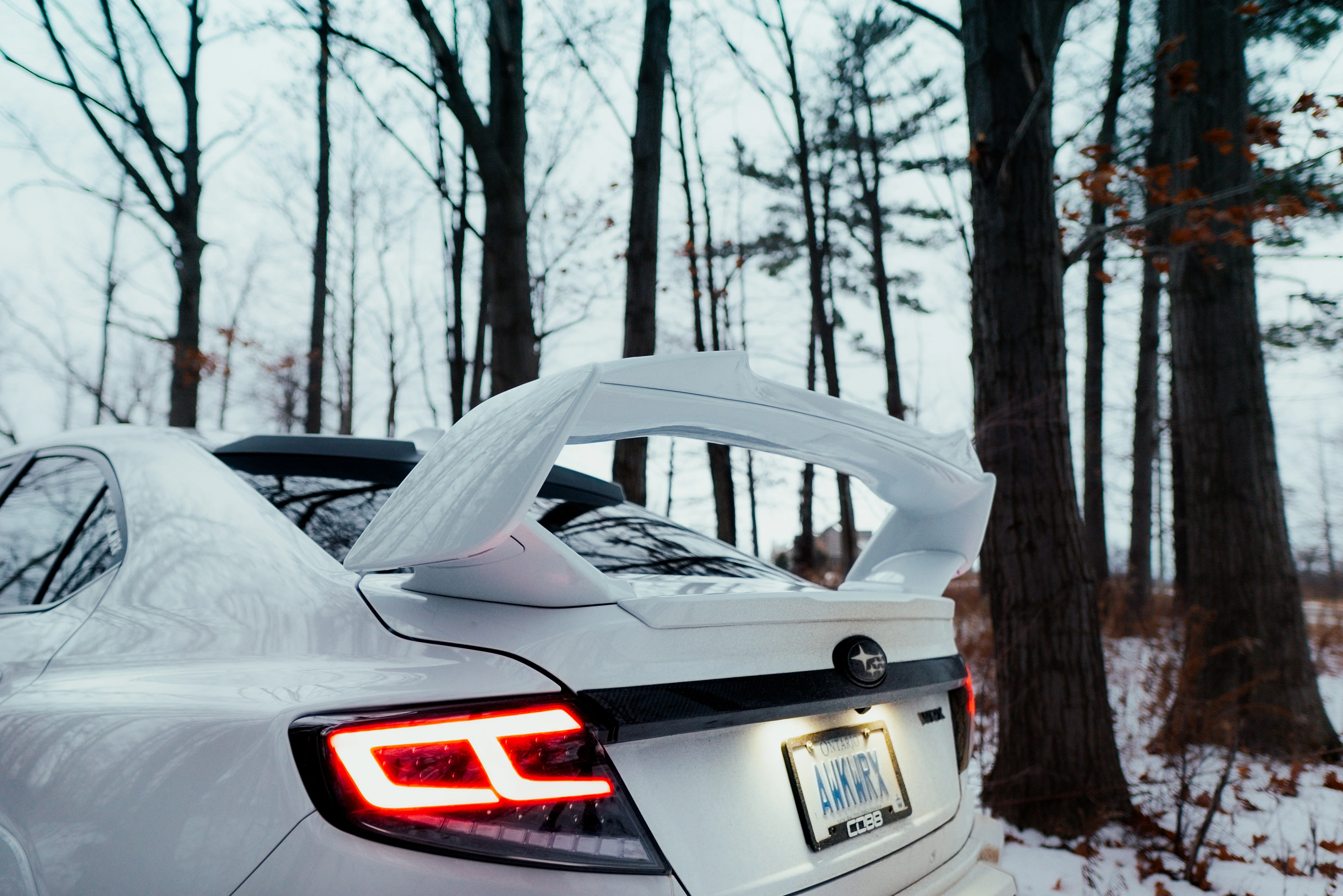 OLM Spec-AR LED Taillights (Clear Lens/Black Base/White Bar) - 2022+ WRX - Image 6